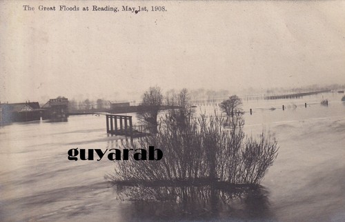 The great floods reading - great,