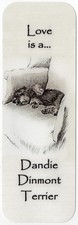 DANDIE DINMONT TERRIER DOG