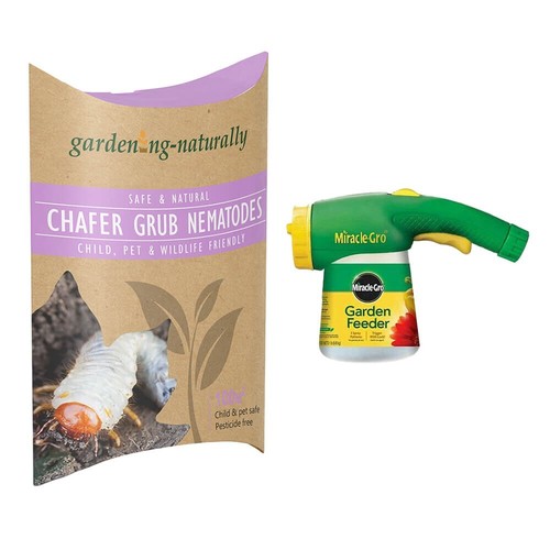 Chafer grub nematodes - grub,