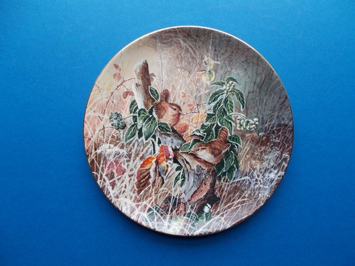 Coalport collector plate - coalport,