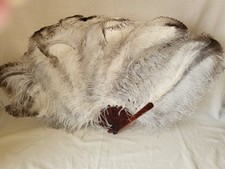 Beautiful  Large Pale Cream Ostrich Feather  Antique Folding Hand Hand Fan
