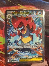 Mega Feraligatr Ex  Sir