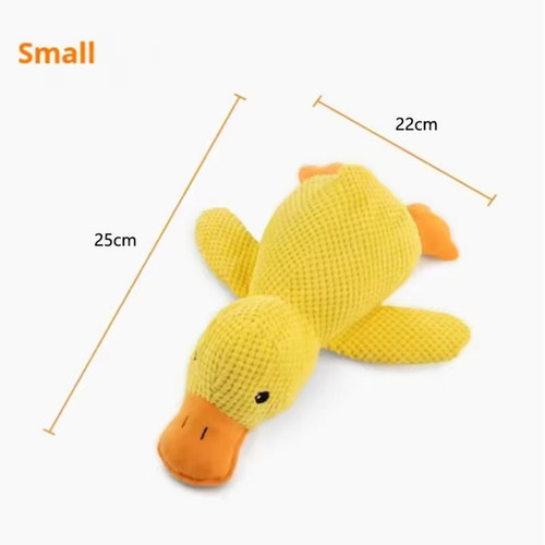 Pet dog chew - chew, toys