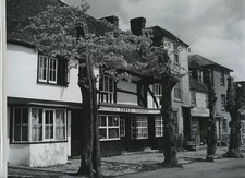 Lenham Maidstone Kent Greengrocer c1930s Photo By Donovan E H Box 
