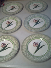 6 x RHS Applebee Collection