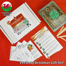 Grow Your Own Chilli Kit - Hot Pepper Seeds Gardening Gift Set - 4 Superhots