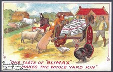 Climax Dairy Meal - old livestock farming advertising postcard from 1910