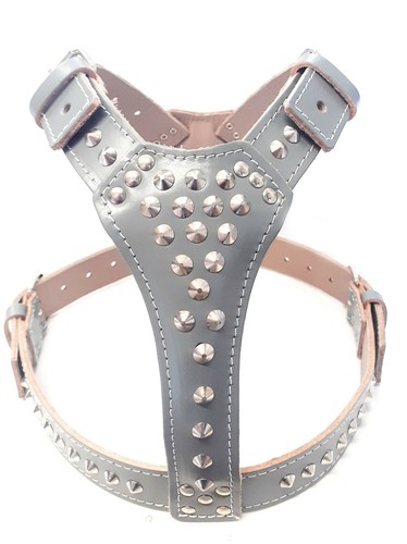 Beautiful studded grey leather - studded,