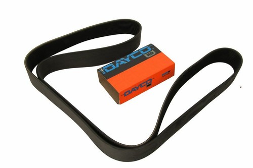 Dayco day12pk1835hd ribbed - dayco, v-ribbed
