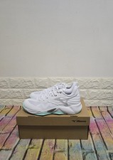 Mizuno Wave Momentum Pro