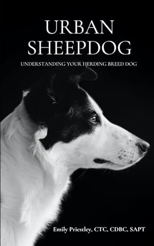Urban sheepdog guide - a, to