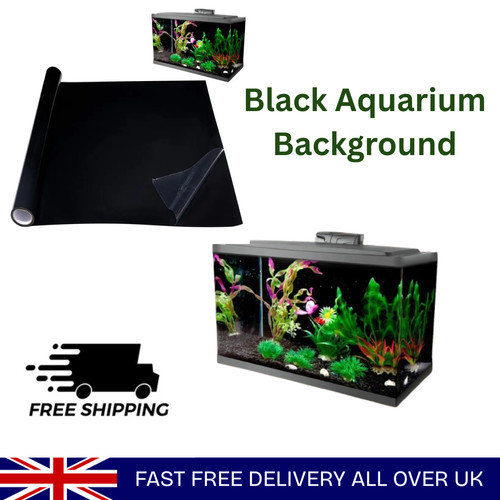 Fish tank background static - fish,
