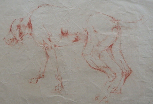 Sanguine pastel dog drawing