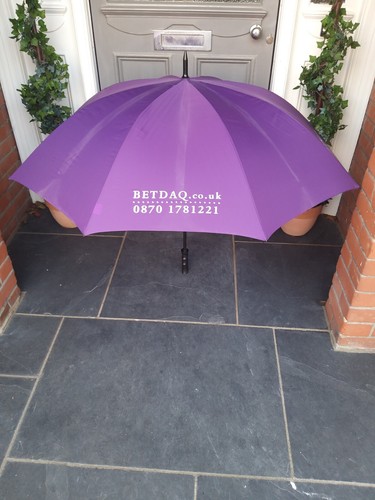 Genuine large betdaq purple - large,