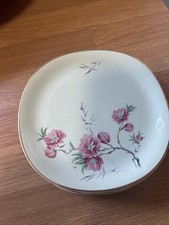 Alfred Meakin Vintage Tea set