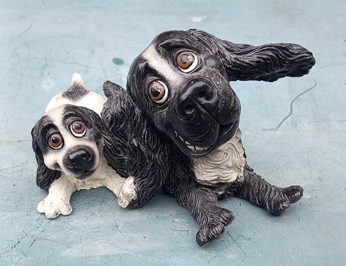 Pets with personality cocker - pets,
