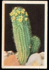 Tobacco Card,Westminster,SOUTH