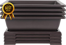 4 Pack 11" Bonsai Training