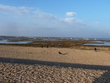 Photo A2 Hurst Spit : Dog Walkers & The Bay Keyhaven The bay behind the  c2010