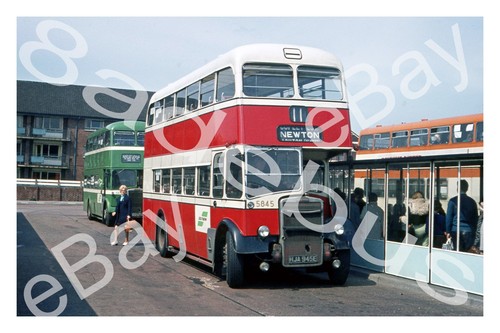 Bus photograph - bus,