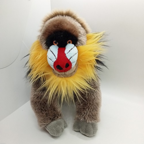Mandrill monkey the - mandrill,