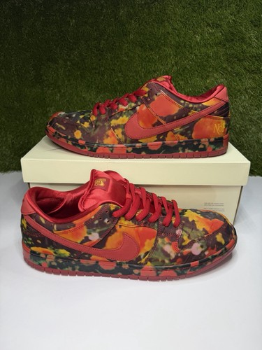 Nike dunk low - sb, of