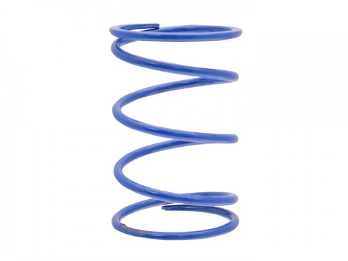 Back pressure spring - pressure,