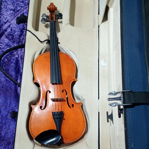 Cardiff violins violin - 15",