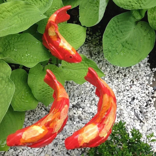 Colorful koi fish - colorful,