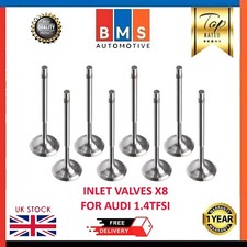 Audi caxa inlet valves set - inlet,