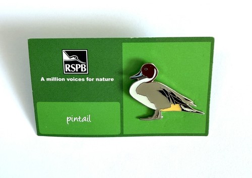 Rspb pintail duck - duck, enamel