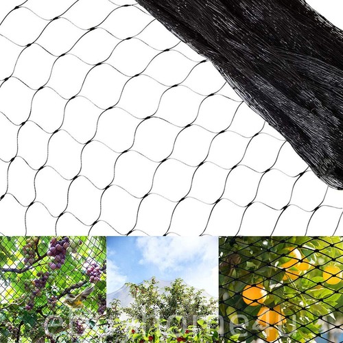 Anti bird netting - bird,
