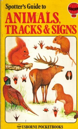 Animals tracks and - tracks,