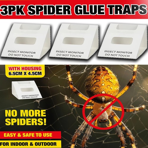 Spider killer traps poison - 3x,