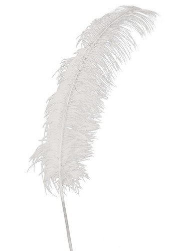 Giant white ostrich plume - giant,