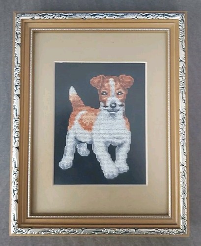 Jack russel terrier jrt - terrier,