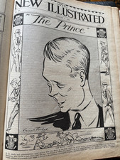 The New Illustrated Magazine