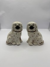 Staffordshire Style Spaniel