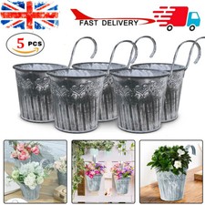 5pcs garden plant - 5pcs, herb