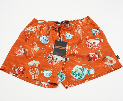 Zegna swimming shorts - zegna,