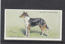 1937 Wills   Dogs Smooth