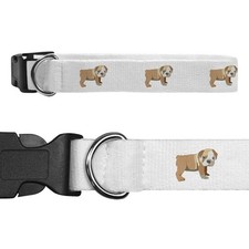 Large 'English Bulldog Puppy' Dog Collar (PR00020588)