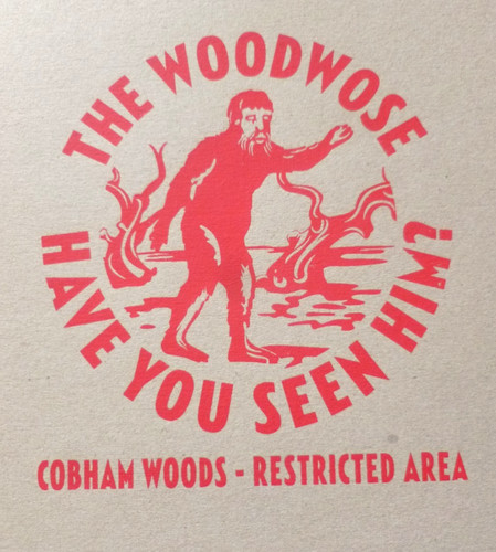 Billy childish the woodwose - the,