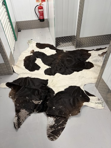 Natural cow skin hide - 55, x