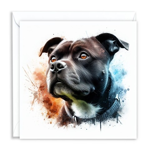 Staffy staffordshire bull - staffy,