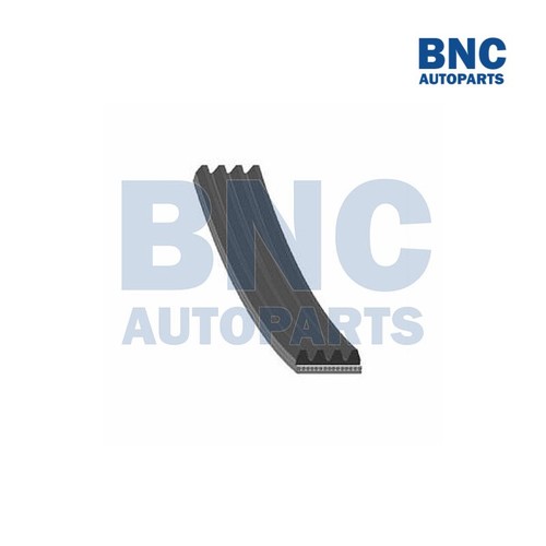 Motaquip ribbed drive belt - drive,