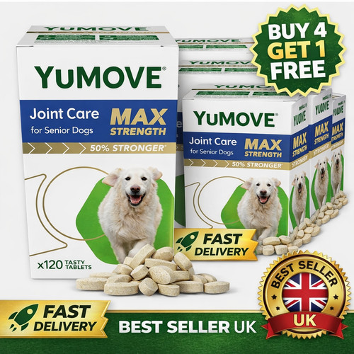 Pack yumove senior - x4,
