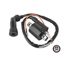 Hi Performance Ignition Coil 6