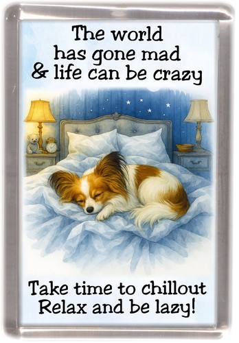 Papillon butterfly dog - papillon,