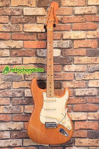 Fender 1974 stratocaster - fender, /